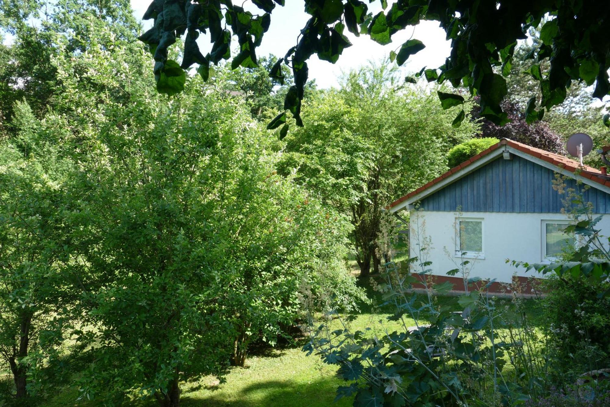 Landleben - Ferienhaus 2 Fritzlar Esterno foto