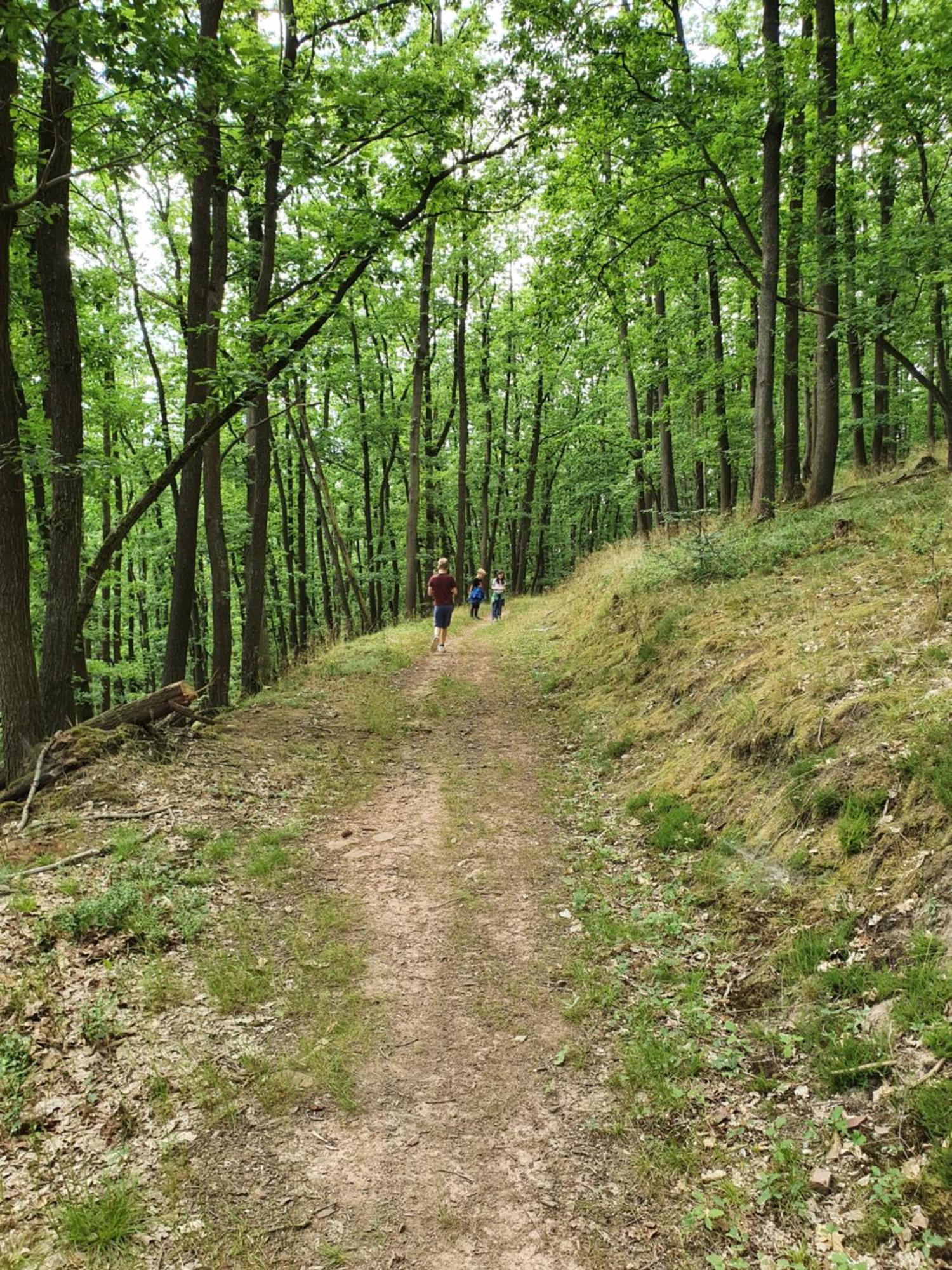 Landleben - Ferienhaus 2 Fritzlar Esterno foto
