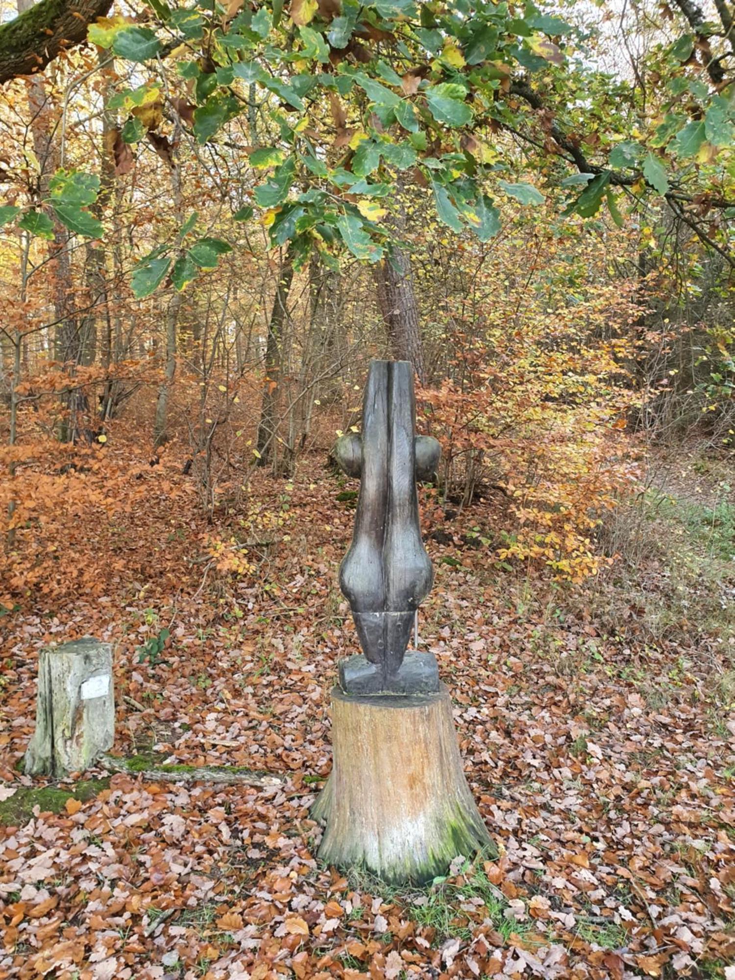 Landleben - Ferienhaus 2 Fritzlar Esterno foto